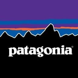 Patagonia logo